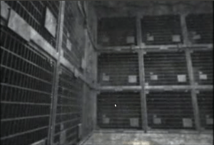 dulce_kinde-kc3a4fige-specht-grille