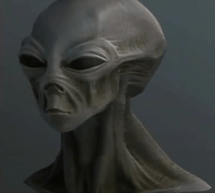 grosser-grauer-portrait